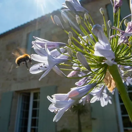 Gîte entre Bordeaux et Saint-Emilion Génissac Extérieur photo