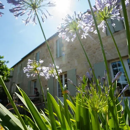Gîte entre Bordeaux et Saint-Emilion Génissac Extérieur photo