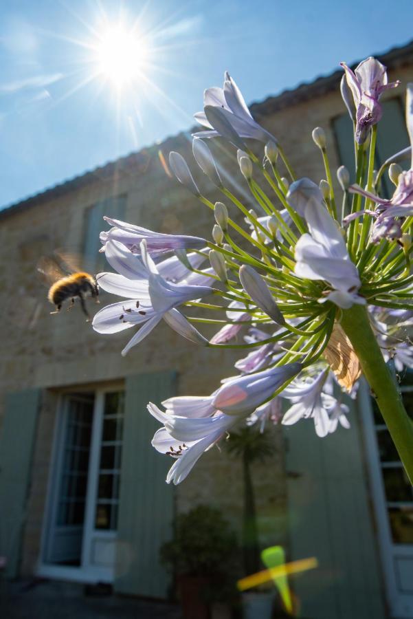 Hébergement de vacances Entre Bordeaux Et Saint-emilion Génissac
